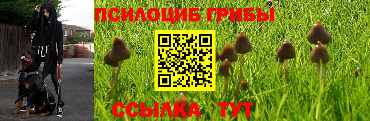 Галлюциногенные грибы Magic Shrooms Беслан