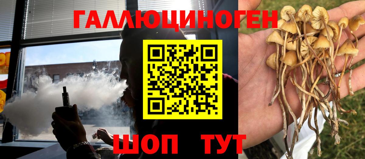 Беслан  где найти   Галлюциногенные грибы Psilocybine cubensis  Вход с VPN  Псилоцибиновые грибы Psilocybe 
